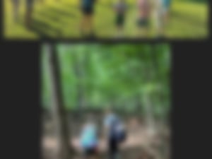 2023 green school app final (29)